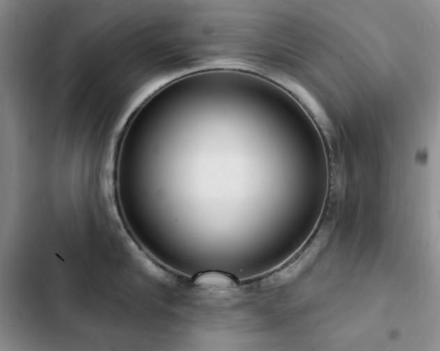 X0000102850910200808181414