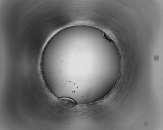 X0000102850912200808181414