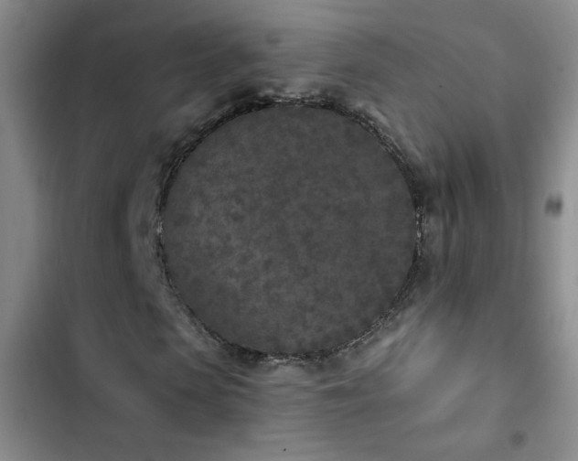 X0000102850913200808181414
