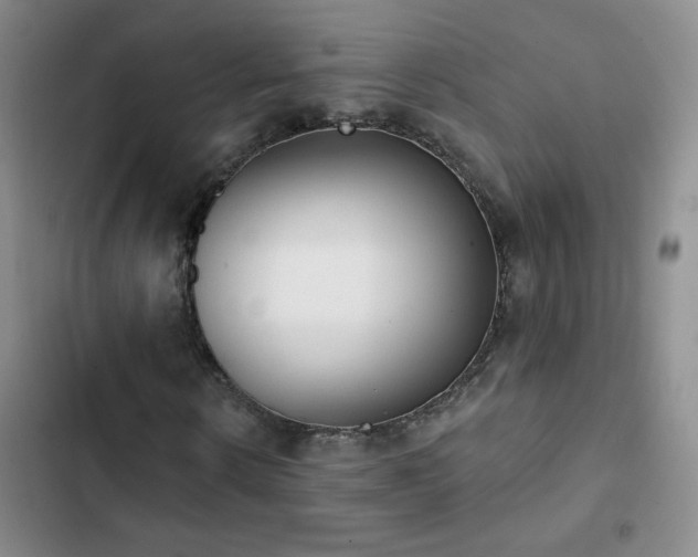 X0000102850914200808181414