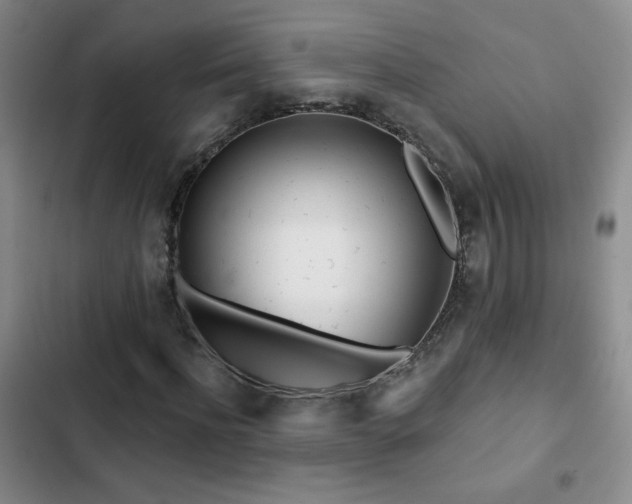 X0000102850916200808181414