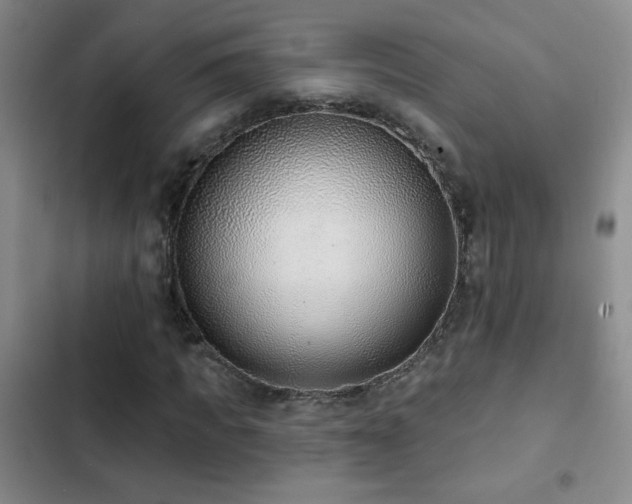 X0000102850917200808181414