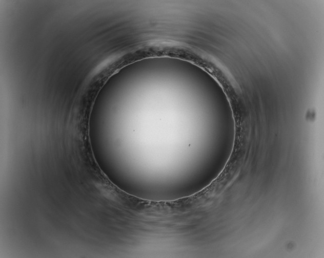 X0000102850919200808181414
