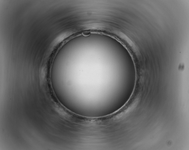 X0000102850922200808181414