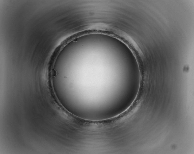 X0000102850923200808181414