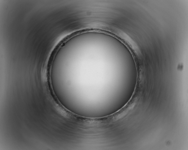 X0000102850924200808181414