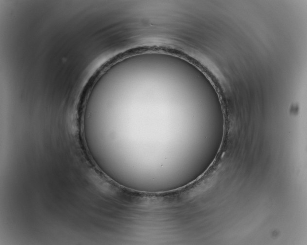 X0000102850927200808181414