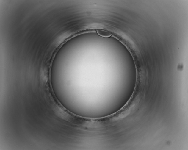 X0000102850929200808181414