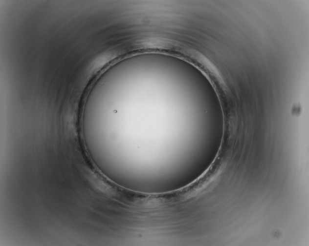 X0000102850930200808181414