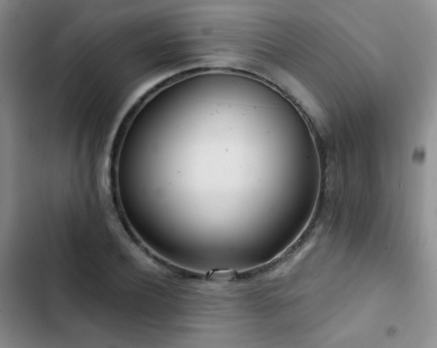 X0000102850932200808181414