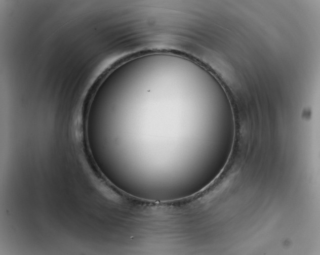 X0000102850934200808181414