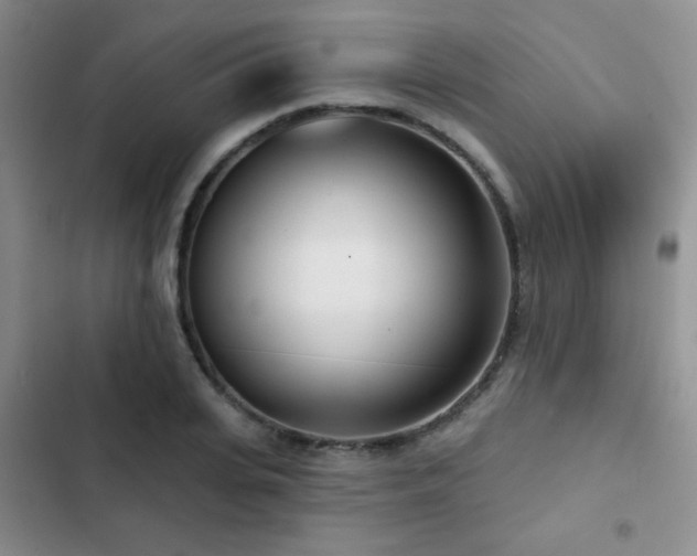 X0000102850935200808181414