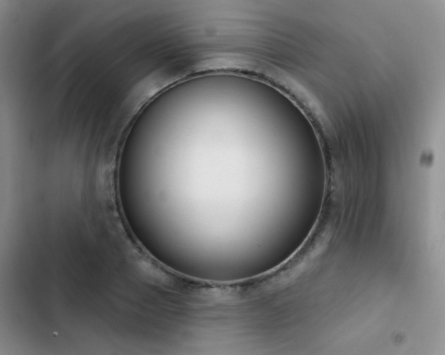 X0000102850937200808181414