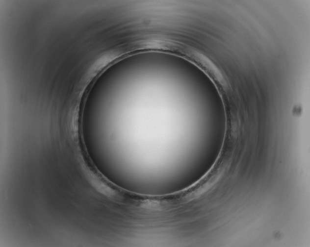 X0000102850938200808181414