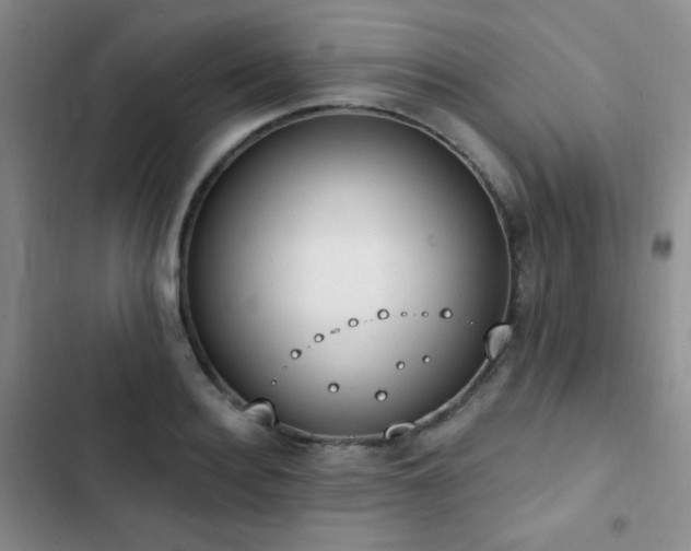 X0000102850940200808181414