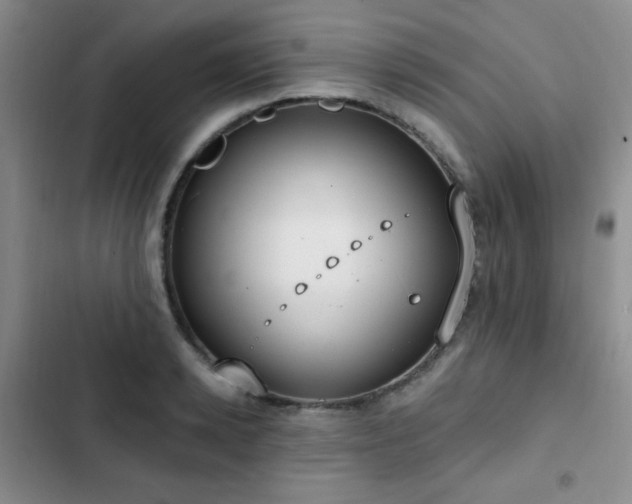 X0000102850942200808181414