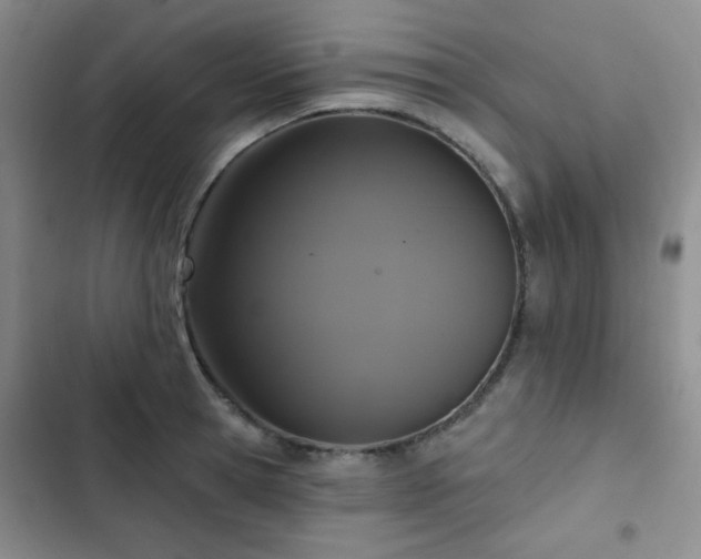 X0000102850945200808181414