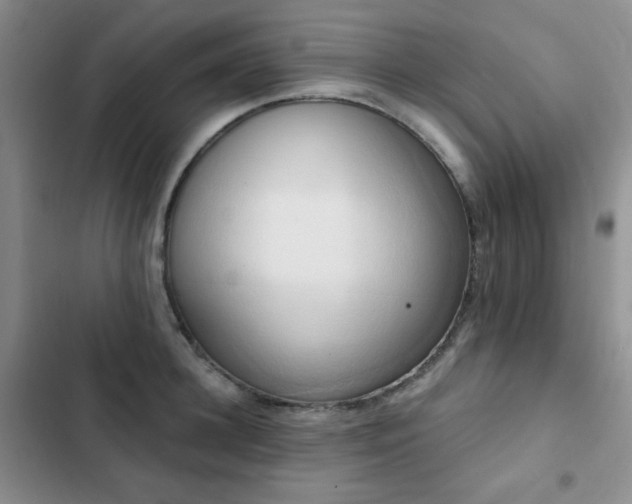 X0000102850948200808181414