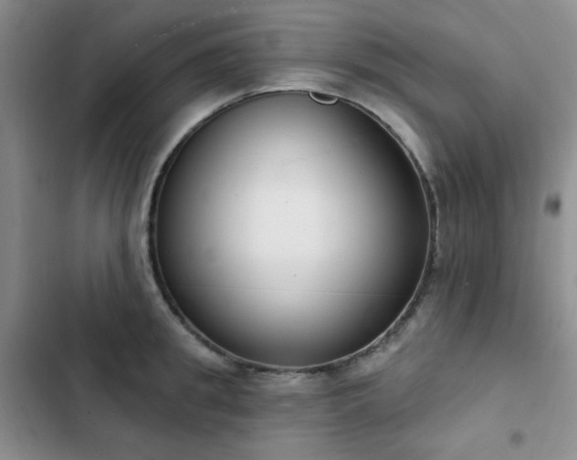 X0000102850949200808181414