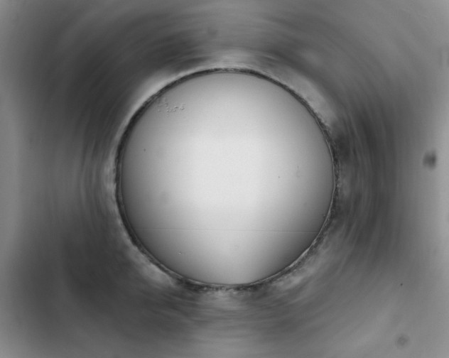 X0000102850950200808181414