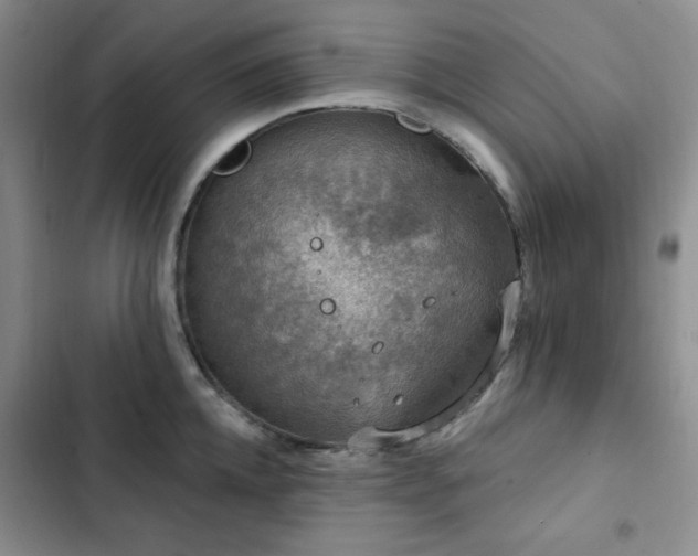 X0000102850952200808181414