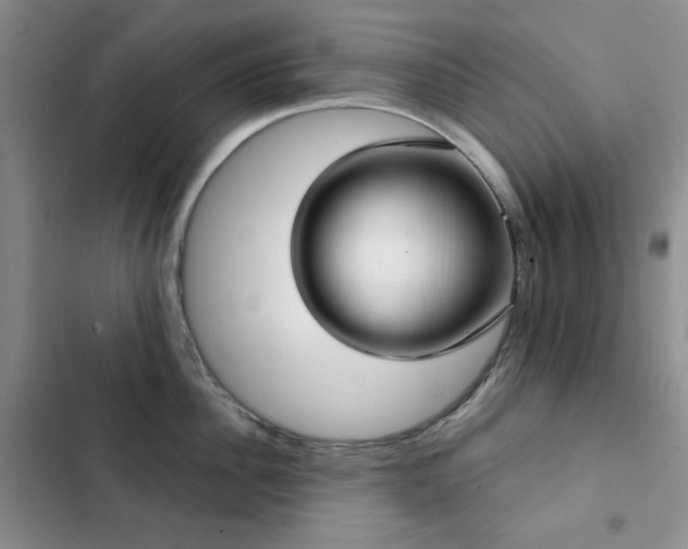 X0000102850956200808181414