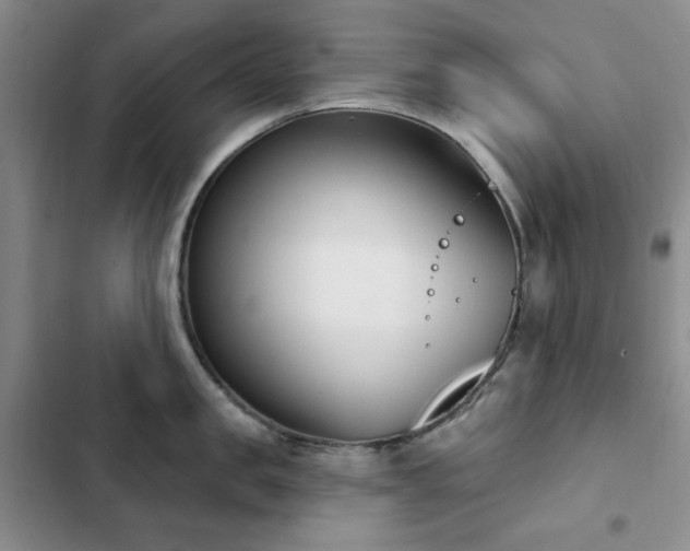X0000102850957200808181414