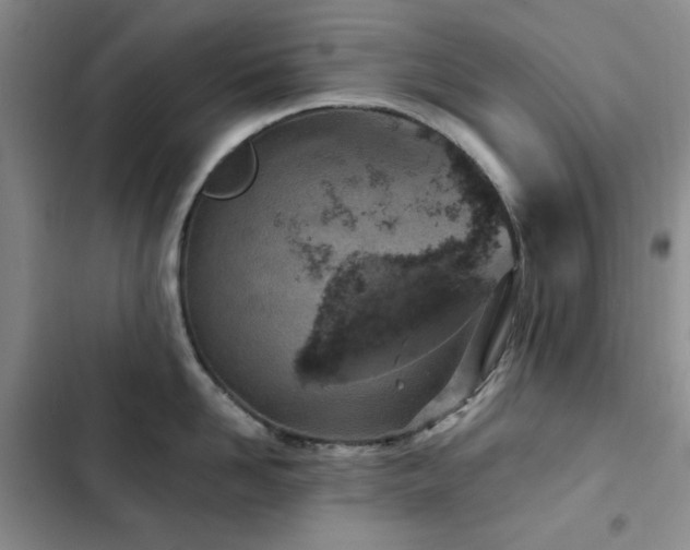 X0000102850958200808181414