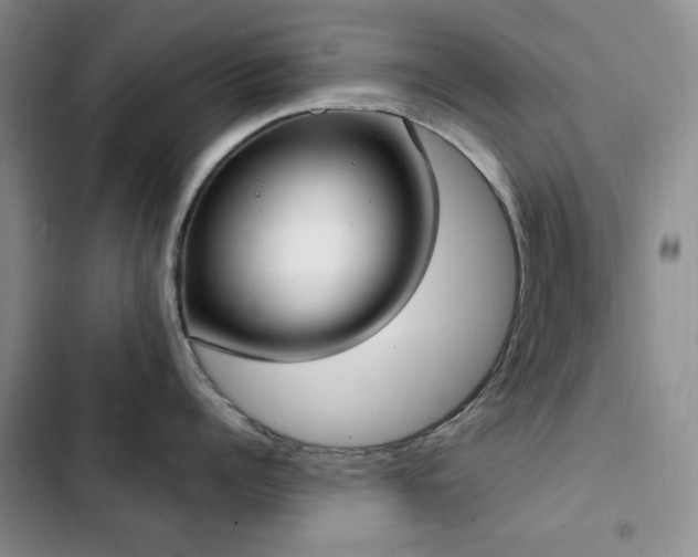 X0000102850960200808181414