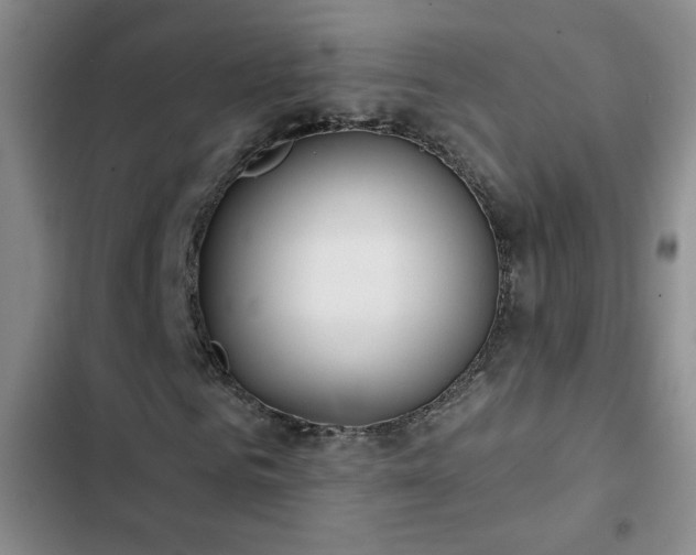 X0000102850961200808181413