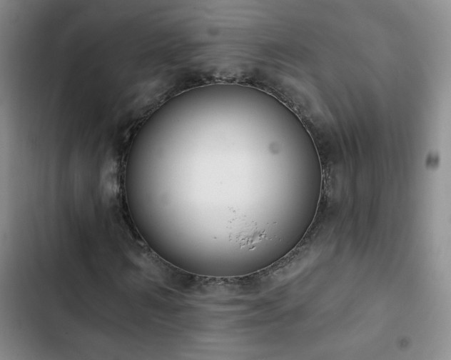 X0000102850962200808181413