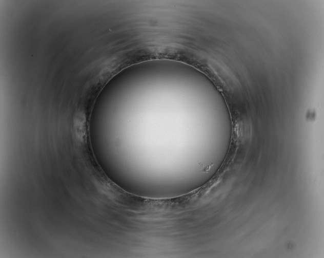 X0000102850963200808181413
