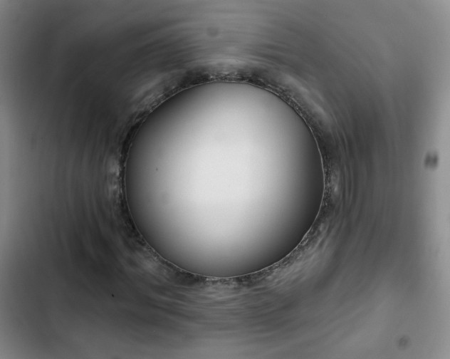 X0000102850964200808181413
