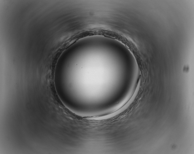 X0000102850965200808181413