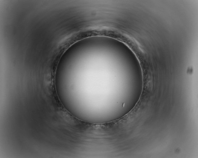 X0000102850966200808181413