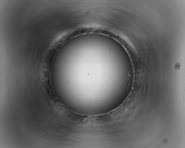 X0000102850967200808181413