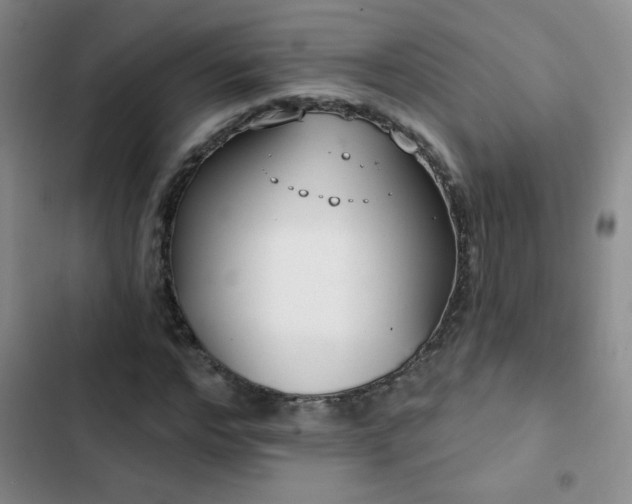 X0000102850968200808181413