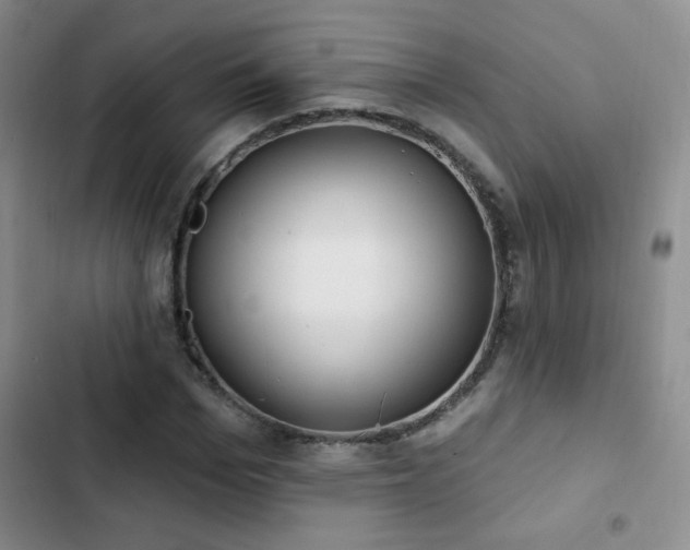 X0000102850969200808181413