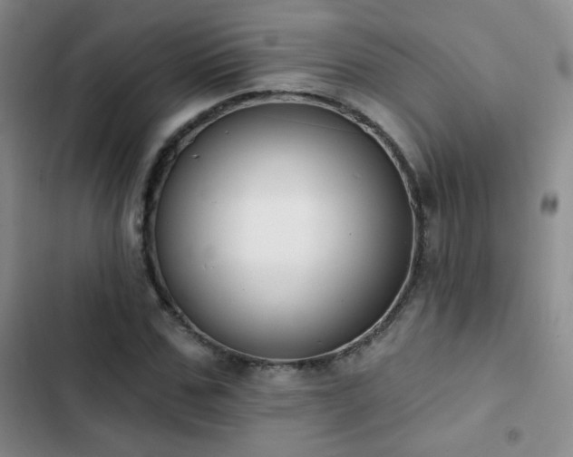 X0000102850971200808181413