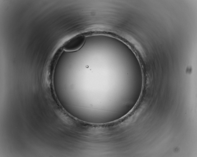 X0000102850973200808181413