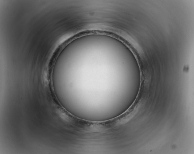 X0000102850974200808181413