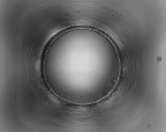 X0000102850975200808181413