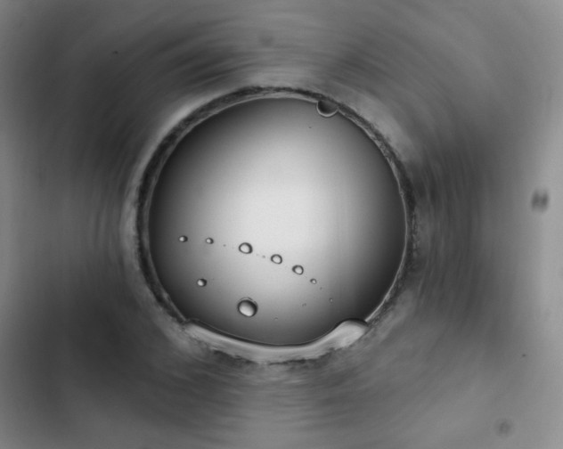 X0000102850976200808181413