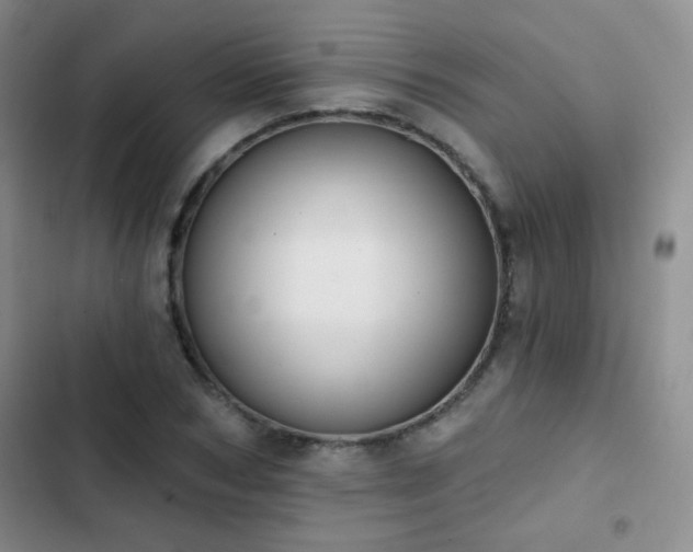 X0000102850978200808181413