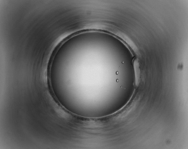 X0000102850980200808181413