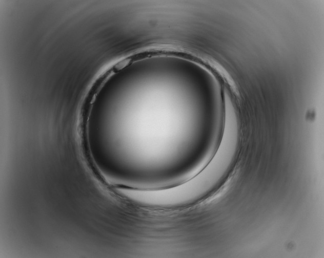 X0000102850981200808181413