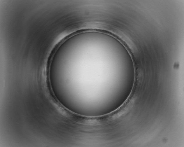 X0000102850982200808181413