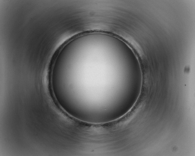 X0000102850983200808181413