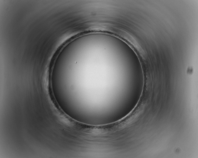 X0000102850984200808181413