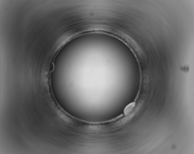 X0000102850985200808181413